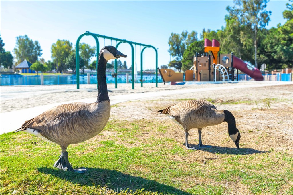 Windsor Village - Residential