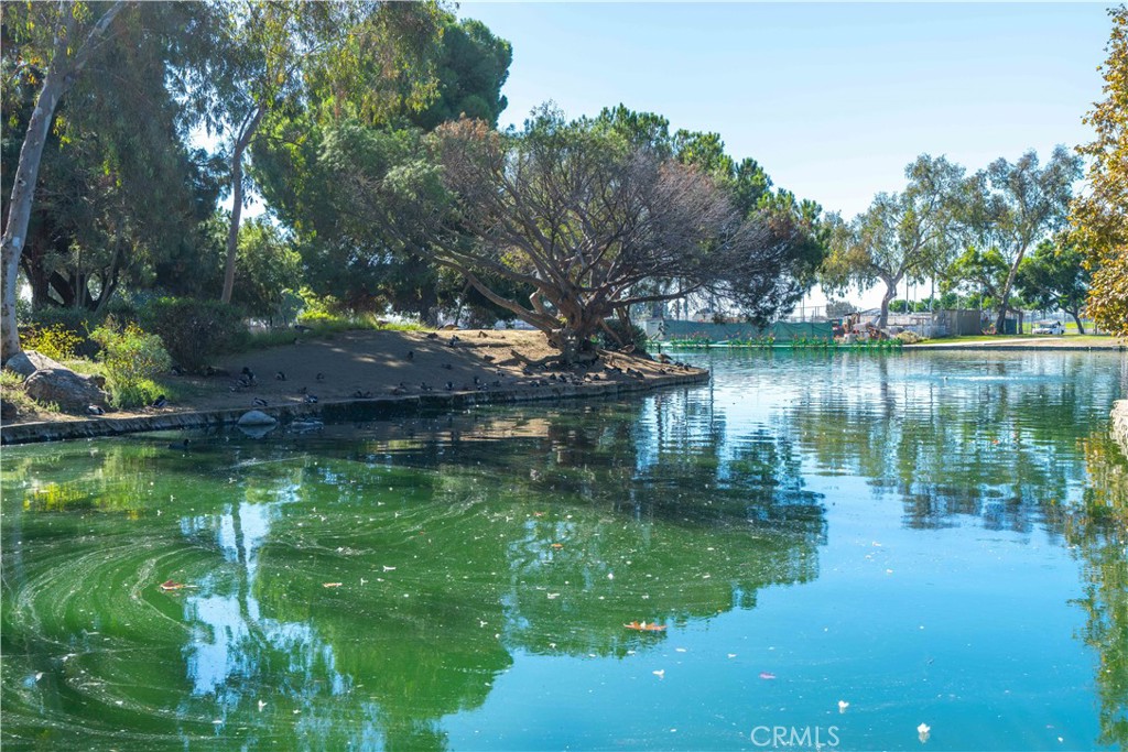 Windsor Village - Residential