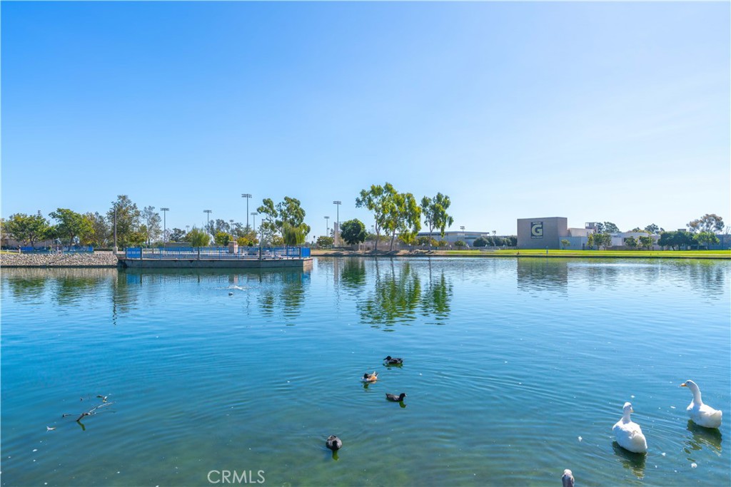 Windsor Village - Residential