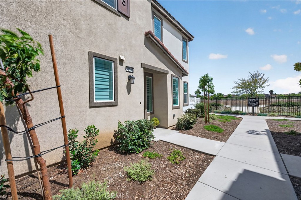 34495 Agave