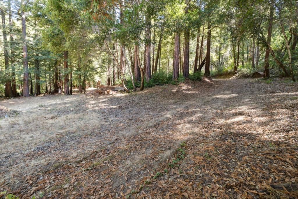listing image 130721537868468833485