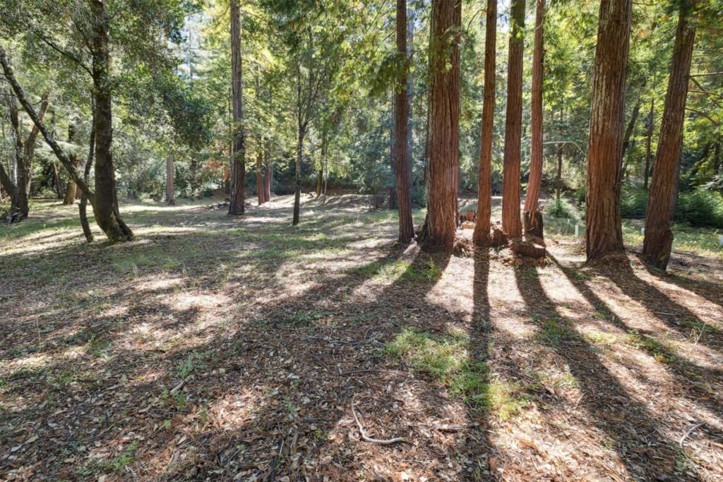 listing image 130721404730366622438