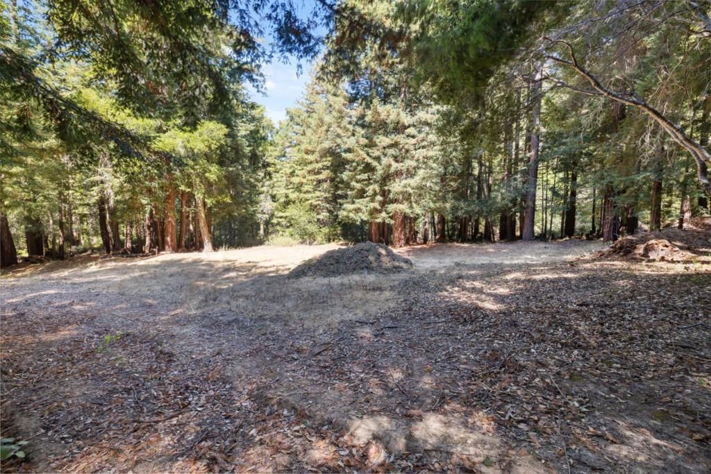 listing image 130724903021631706308