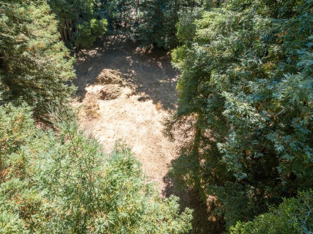listing image 130722491848667192972
