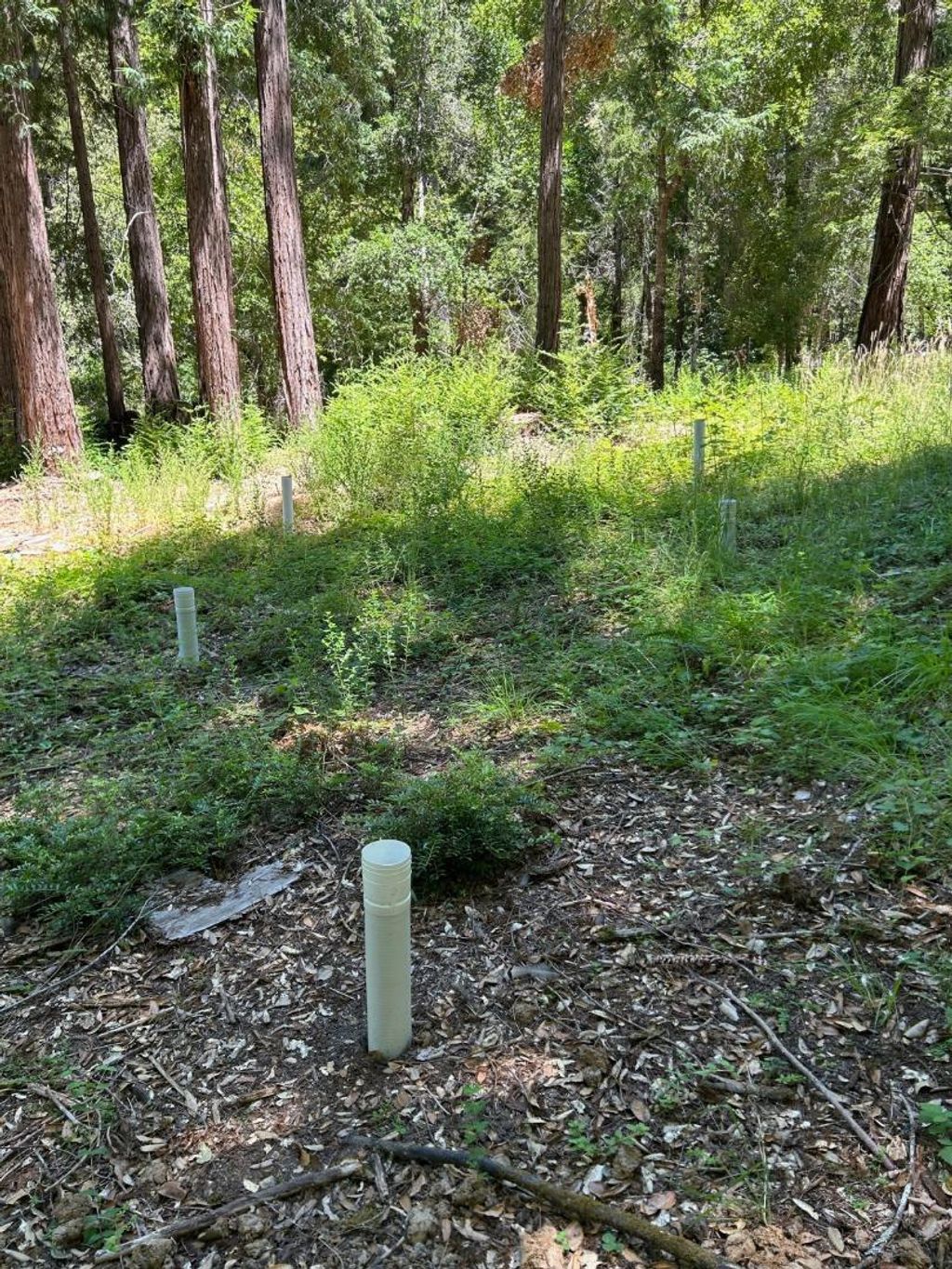 listing image 130727049570086039162