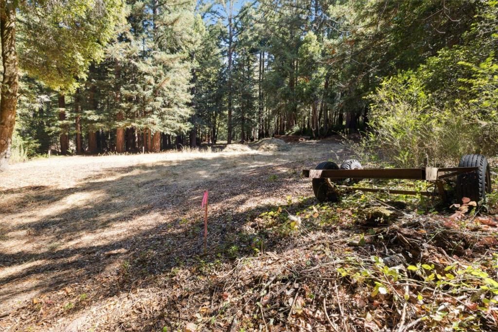 listing image 130721292576057835889