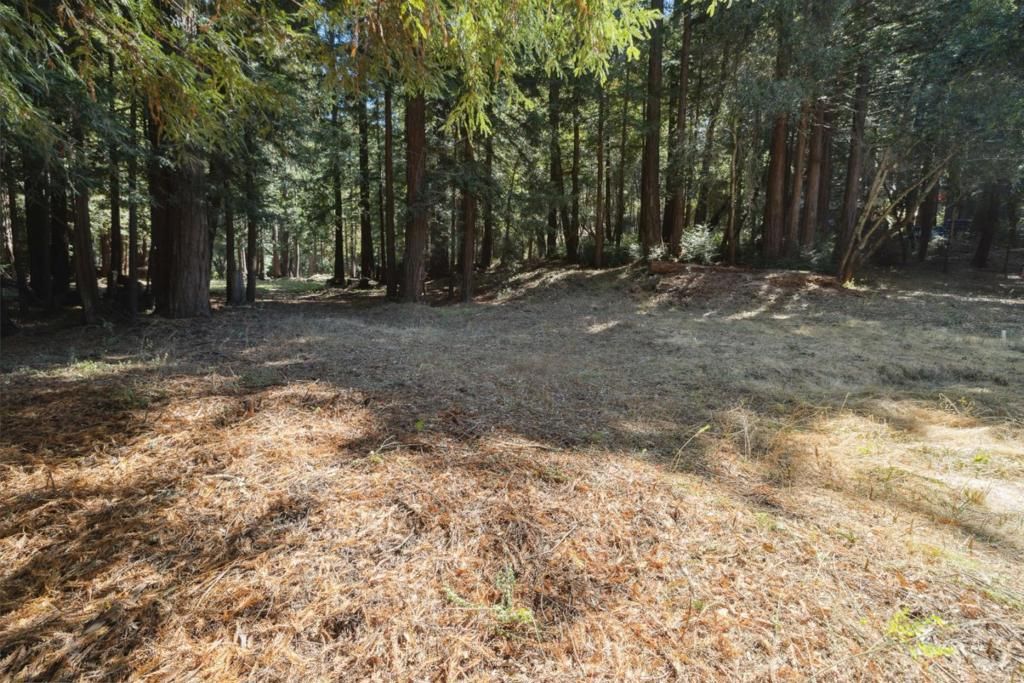 listing image 130729833545534775098