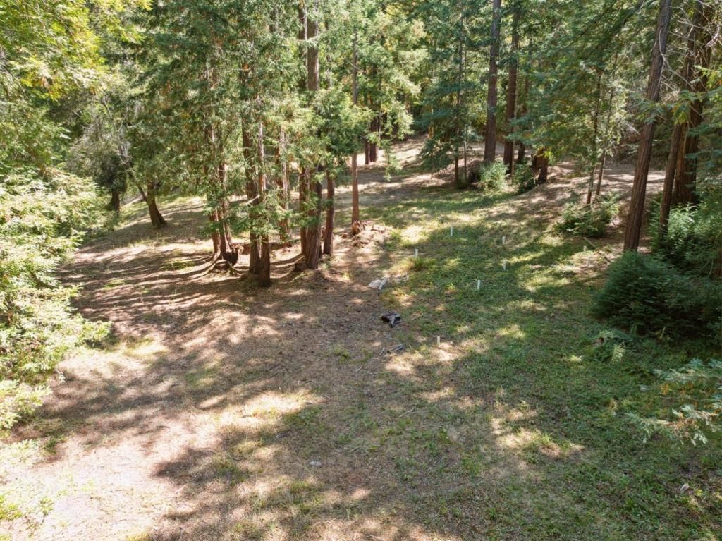 listing image 130720325211221859945