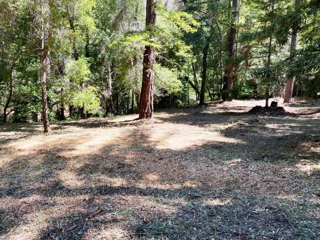 listing image 130728641625787177630