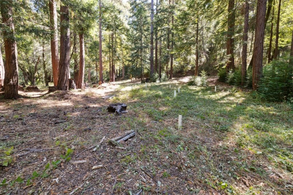 listing image 130726581615493466222