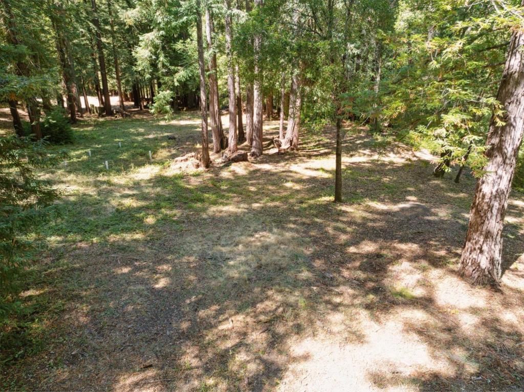 listing image 130726118115946225585