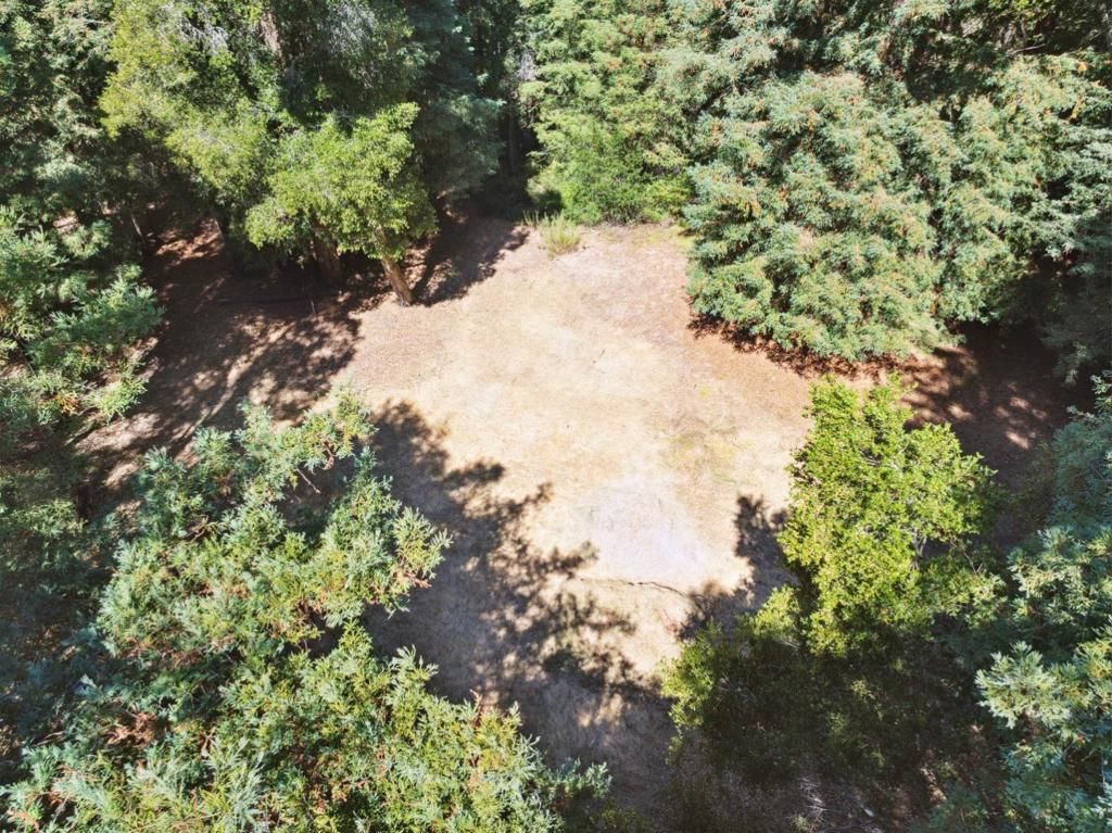 listing image 130725551013348423432