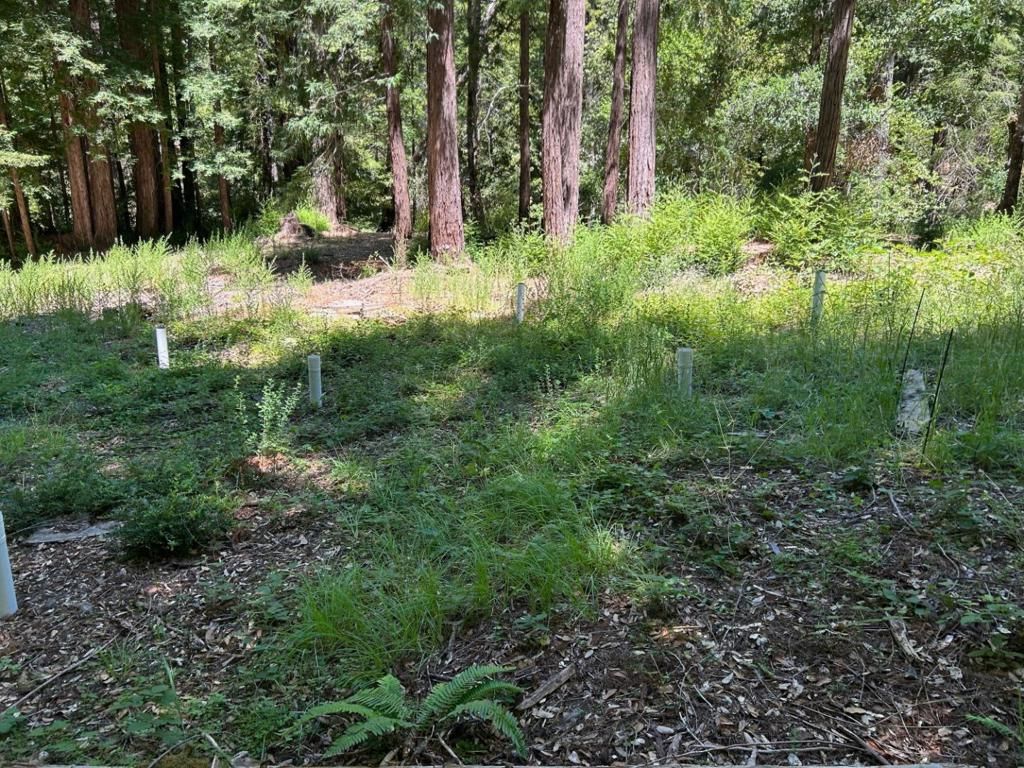 listing image 130729904562005335503