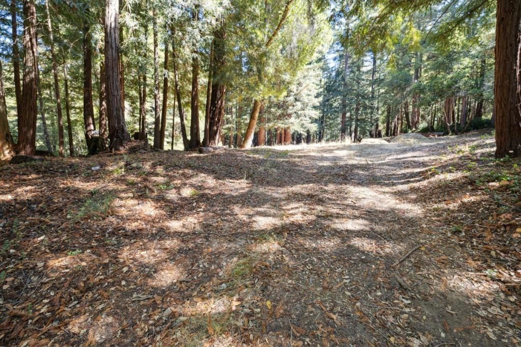 listing image 130724754156745424387