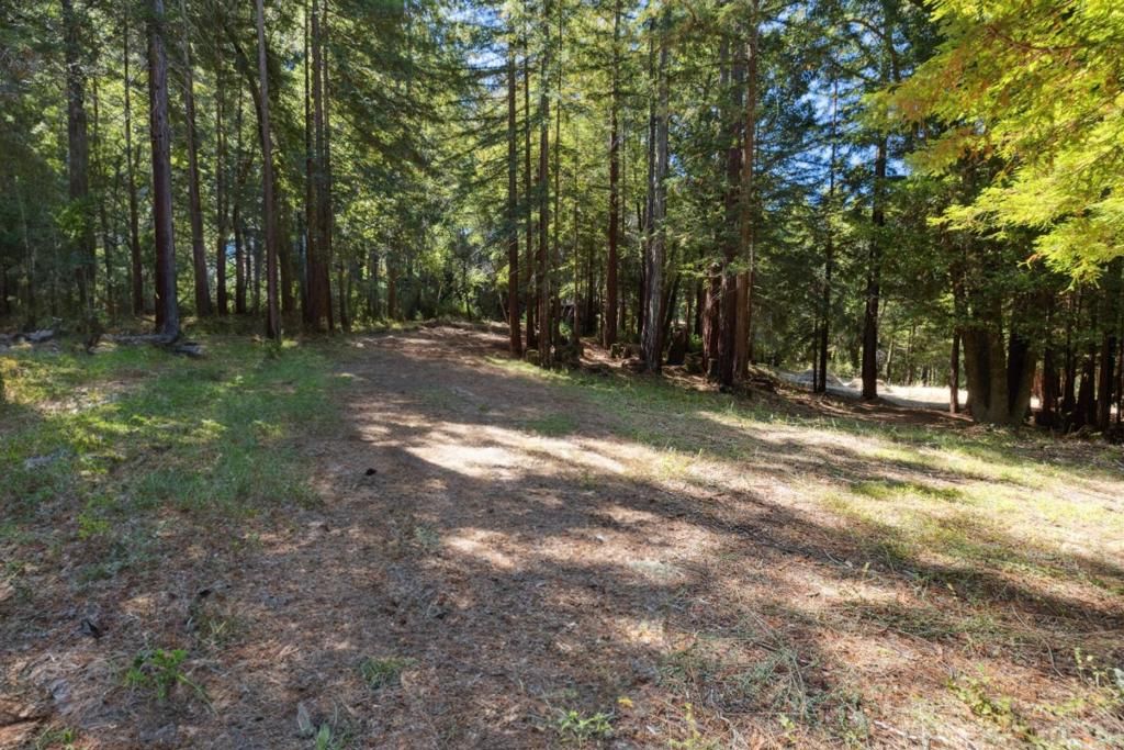 listing image 130720271601912343574
