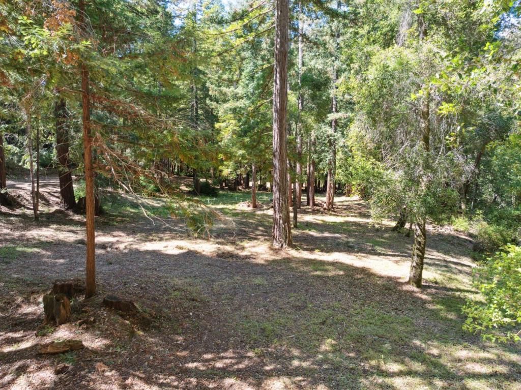 listing image 130727615075889701549