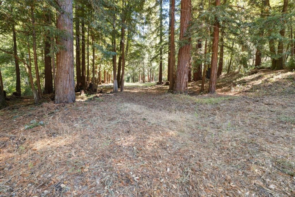listing image 130722426980157447011