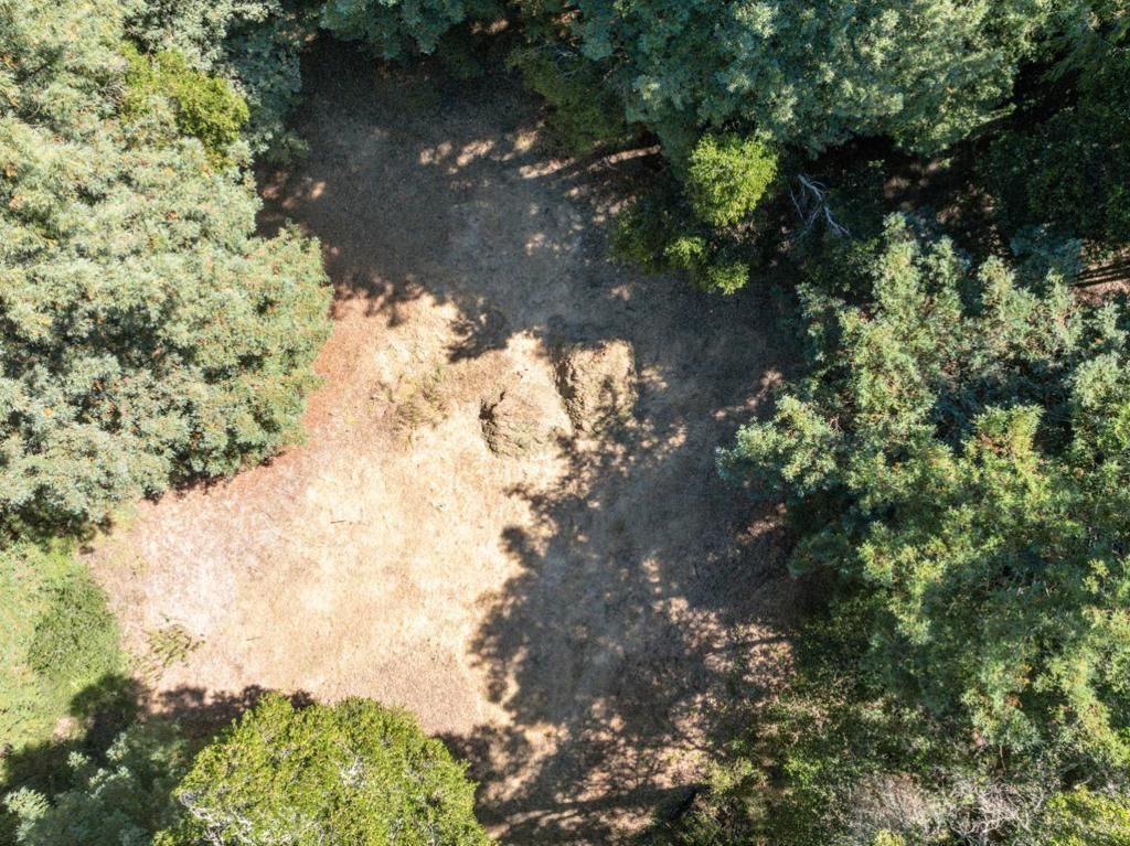 listing image 130720771721556129280