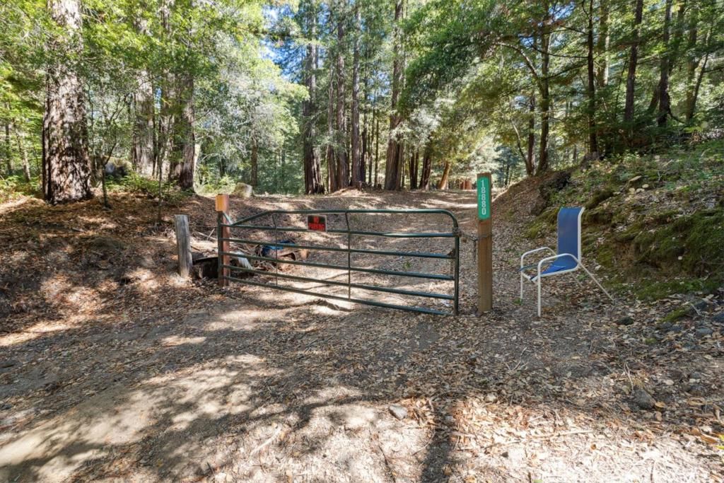 listing image 130724458453997033317