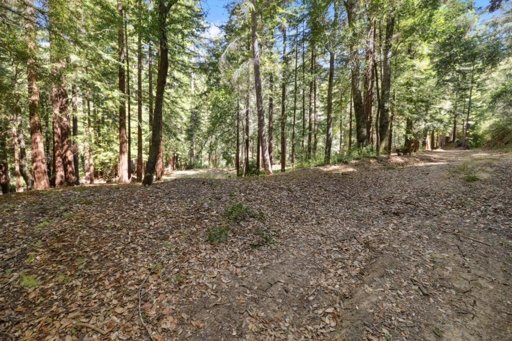 listing image 130724131851847797786