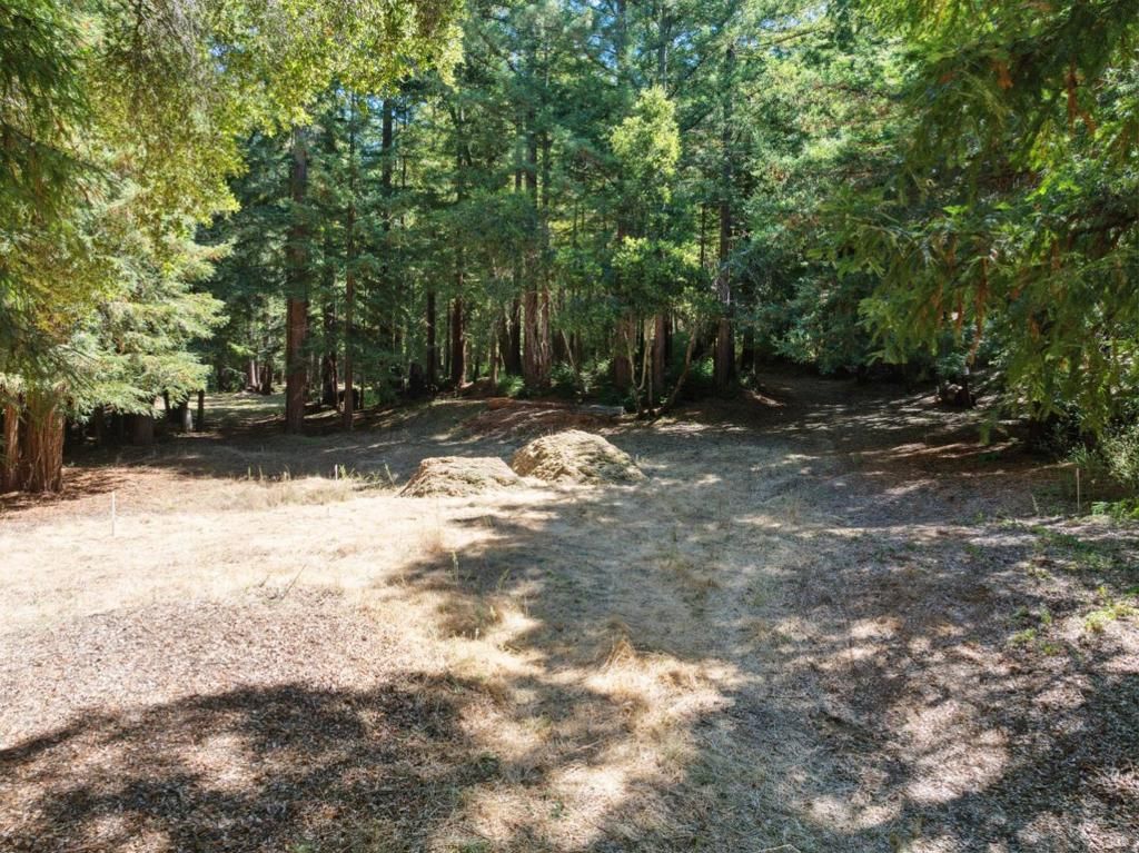listing image 130726413564389811445