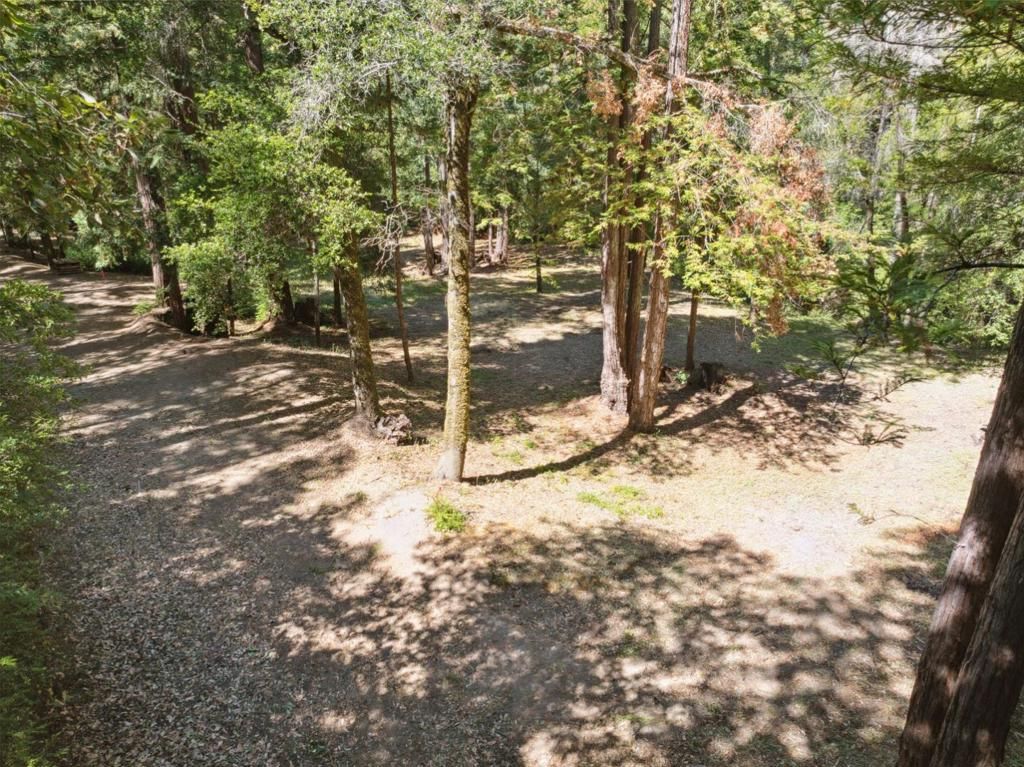 listing image 130723496273963149446
