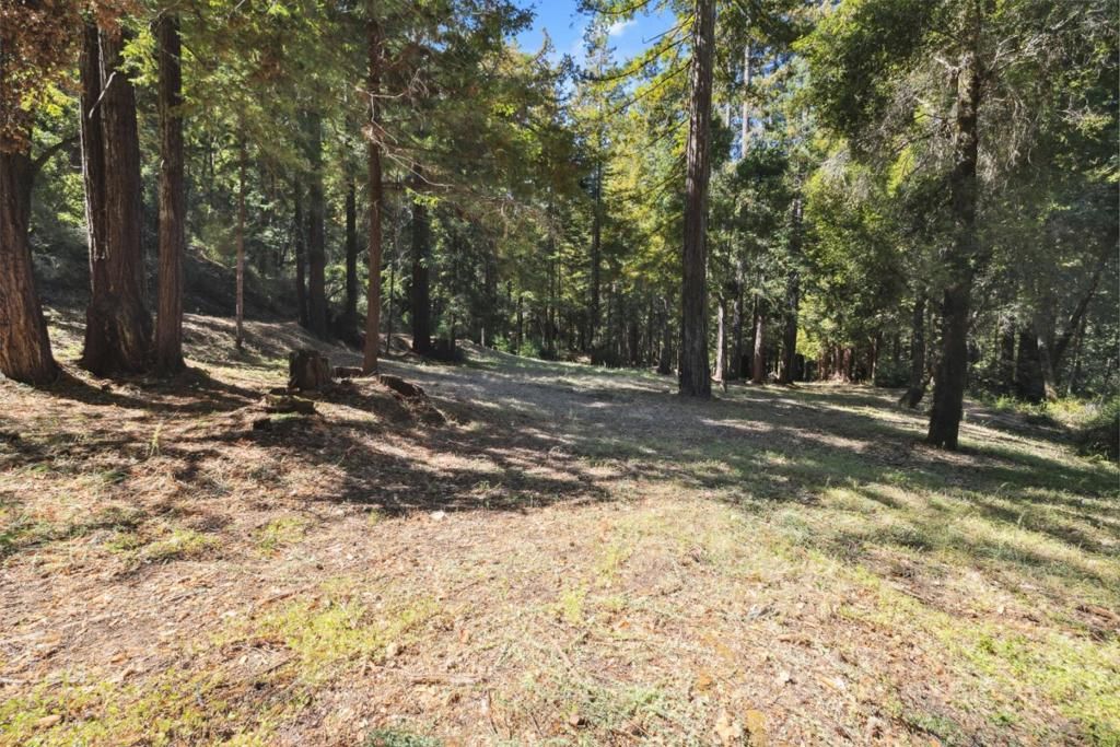 listing image 130722257449250915065