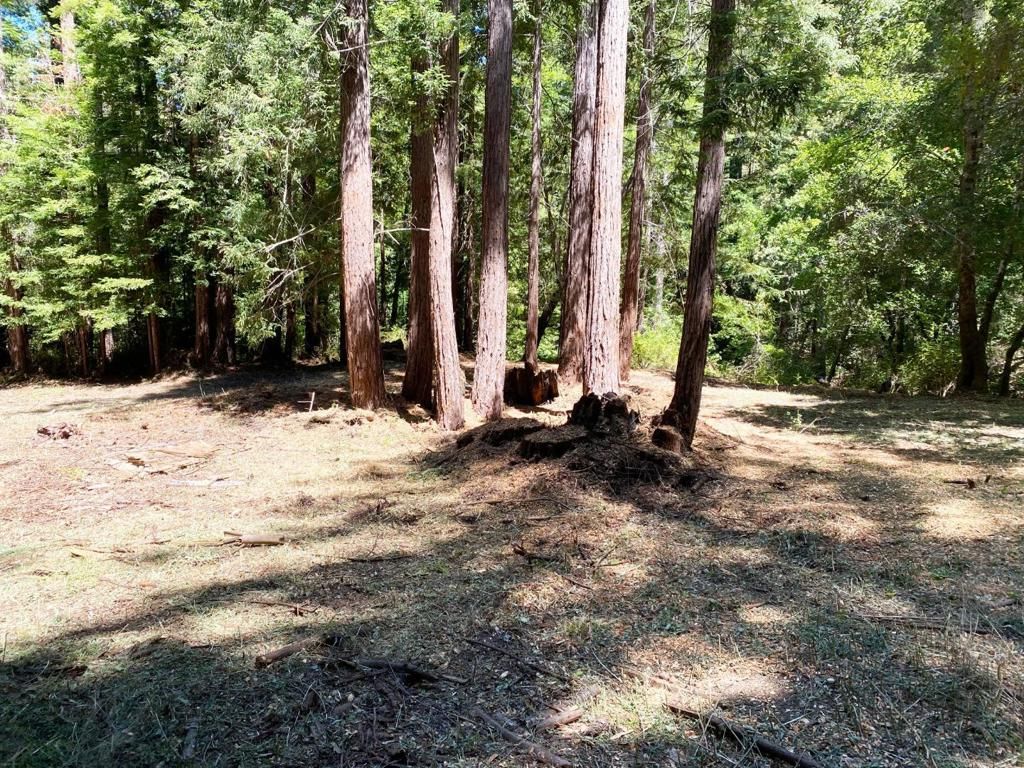 listing image 130729511178134016907