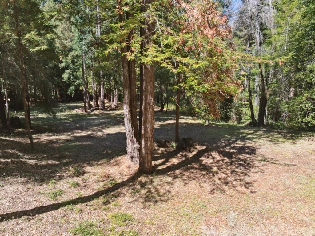 listing image 130726846994006163486