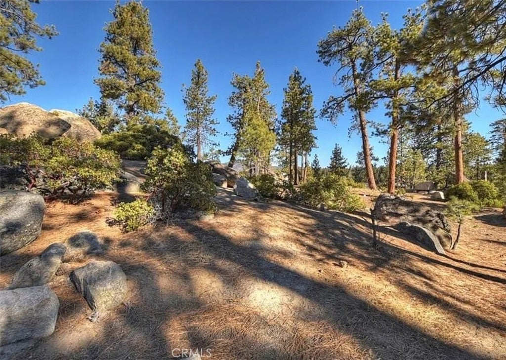 831 Cove Drive