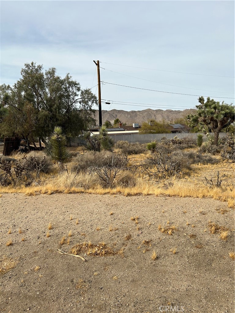 This property is in a nice desirable area with great views and a blank canvas to build your next dream home. The property has some desert landscaping which includes Joshua Trees for that desert look. All major utilities are nearby and located at the end of a cul-de-sac.