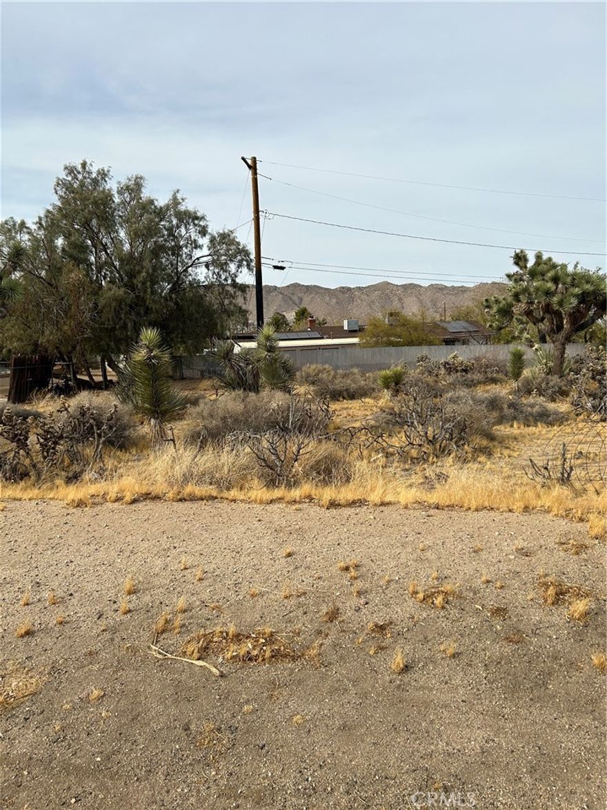 This property is in a nice desirable area with great views and a blank canvas to build your next dream home. The property has some desert landscaping which includes Joshua Trees for that desert look. All major utilities are nearby and located at the end of a cul-de-sac.