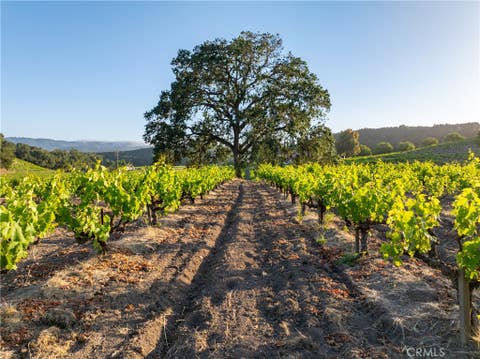 Tiny photo for 3750 W Highway 46, Templeton, CA 93465 (MLS # NS25272070)
