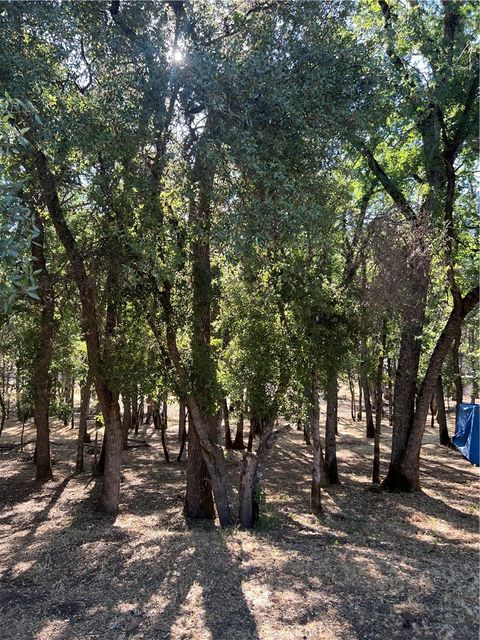 Photo of 5723 Inca Way, Kelseyville, CA 95451 (MLS # LC25226524)