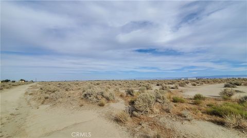 Photo of 0 Buckhorn Ave & Killdeer (92nd), Rosamond, CA 93560 (MLS # SR24091095) Photo of 0 Buckhorn Ave & Killdeer (92nd), Rosamond, CA 93560 (MLS # SR24091095)