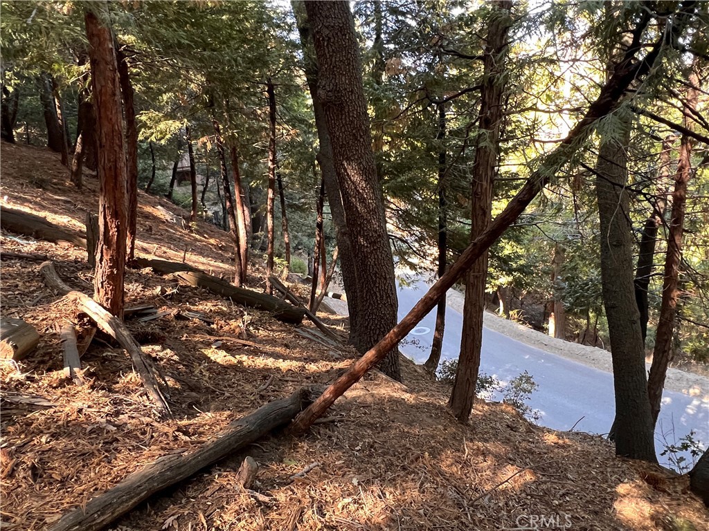 San Moritz (SAMO) - Land