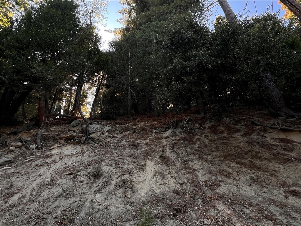 San Moritz (SAMO) - Land