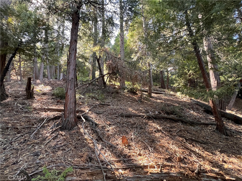 San Moritz (SAMO) - Land