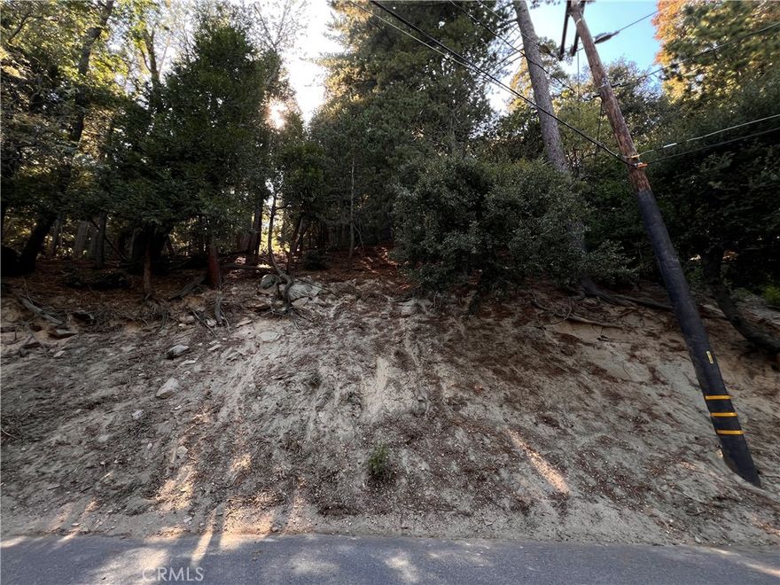 This lot has beautiful mountain and forest views from an elevated, upslope parcel just minutes from town and Lake Gregory. This land raises from the street to capture dramatic sunrises, tranquil forest views, and expansive outdoor living spaces. Enjoy abundant daylight, privacy, and versatile design potential. Utilities are nearby. Very easy to find and has convenient access via a paved road with nearby parks, trails, shops, and the lake is just a short drive away.

This lot is in between address 964 Lausanne Dr. and 930 Lausanne Dr. with vacant land to the left and right of the parcel as well.