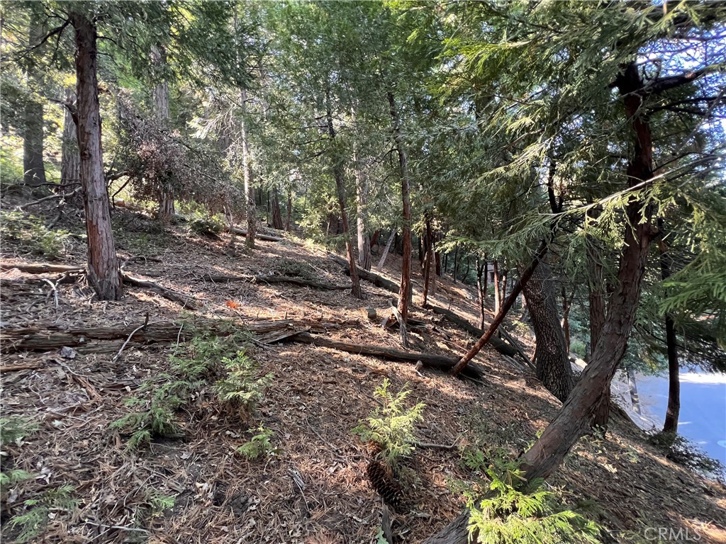 San Moritz (SAMO) - Land