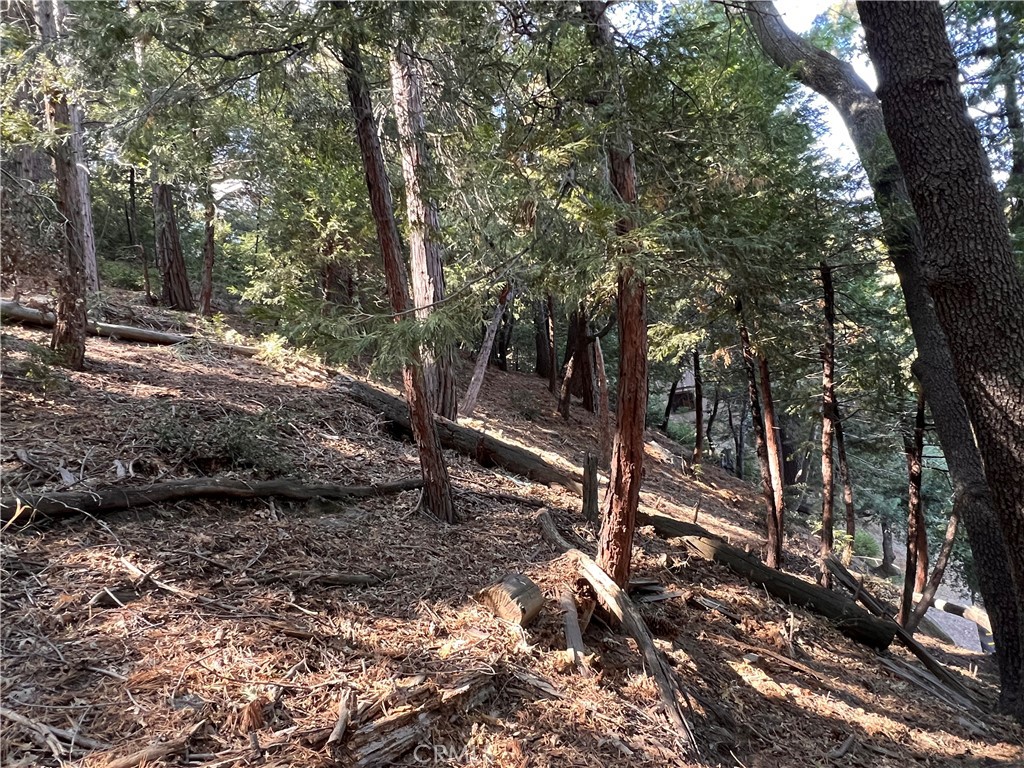 San Moritz (SAMO) - Land