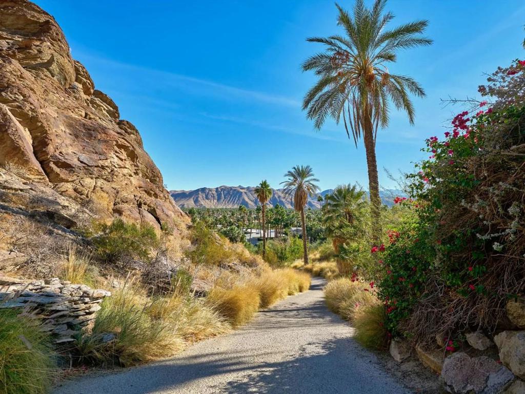 The Mesa - Residential