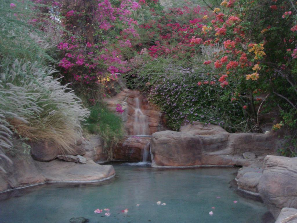 The Mesa - Residential