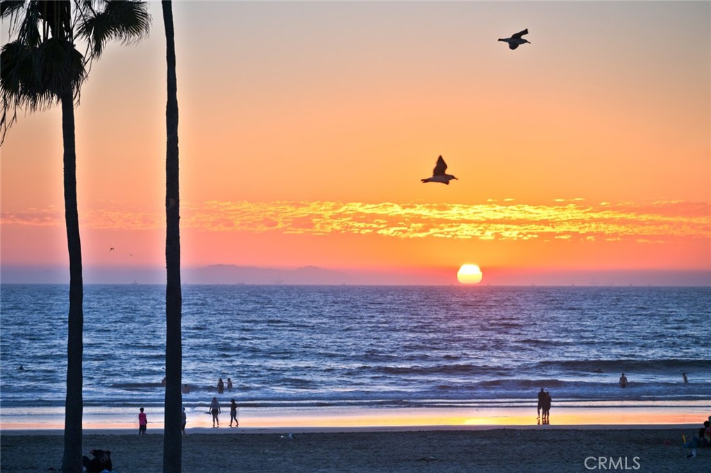 Balboa Peninsula (Residential) (BALP) - Residential