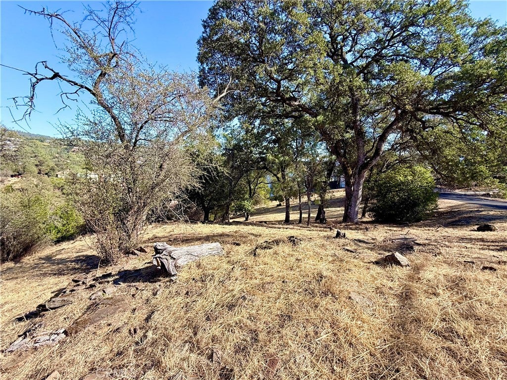 17005 Knollview