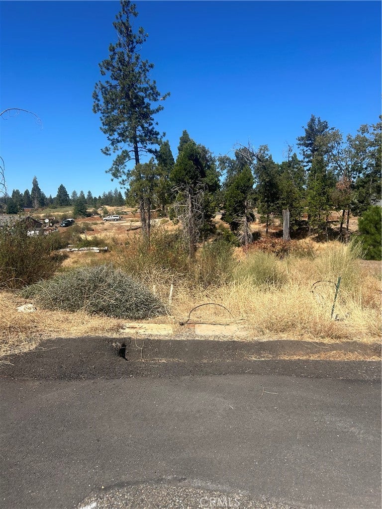 13665 Fritz Court