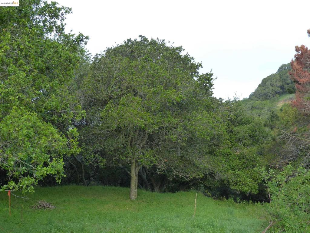CHABOT ESTATES - Land
