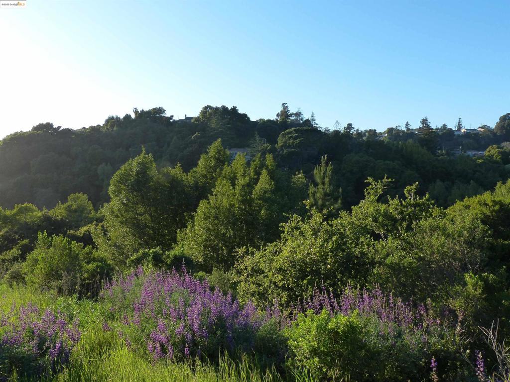 CHABOT ESTATES - Land