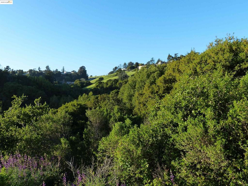 CHABOT ESTATES - Land