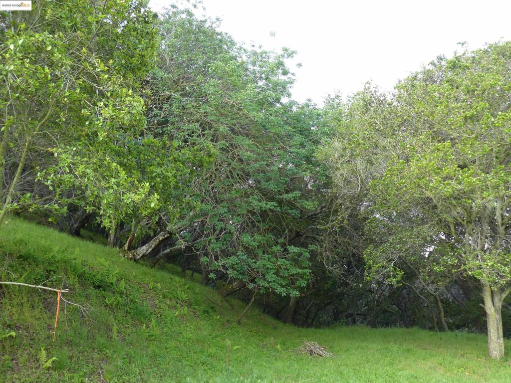 CHABOT ESTATES - Land
